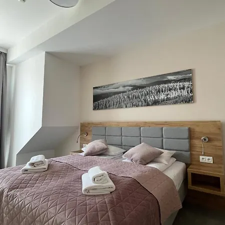 Czarna Gora 410 Apartment Sienna (Klodzko)