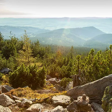 Apartment Czarna Gora 410 3*